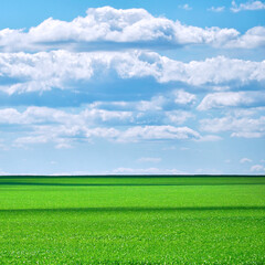 Green field against cloudy sky in Sunny weather