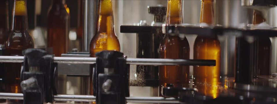 Video of a modern bottle capping machine in a brewery. Bottles moving on an industrial machine. Beer foam overflowing bottles. Factory, brewery concept.
