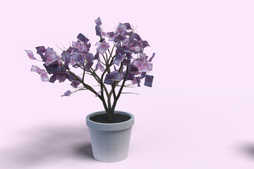 Money Plant In White Pot With Lavender Background 3D Render