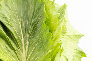 Sarson Leaves Saag Of Brown Or Chinese Black Mustard Rai Raya Or Raai Also Known As Brassica Juncea Is Powerful Ayurvedic Herbs and Spices With Multiple Health Benefits And Is Rich Source Of Vitamins