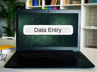 Financial concept about Data Entry  with phrase on the sheet.