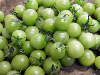 グリーントマト