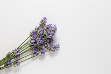 Fototapeta premium bouquet of lavender on a light background