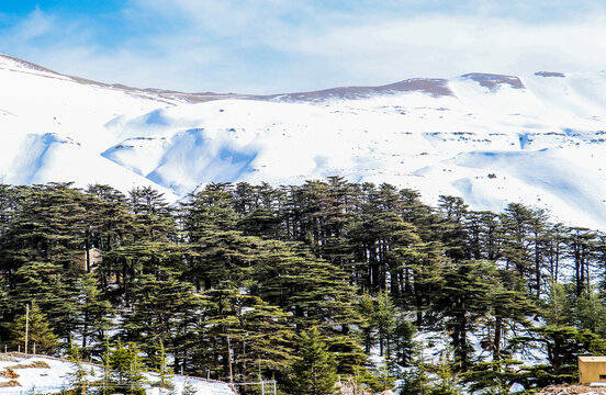 Lebanon in the winter of 2020 in the mountains