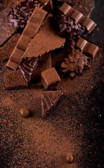 chocolate pieces and cocoa powder on wooden background