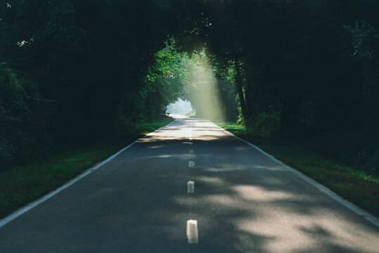 Highway passing through a canopy, South Carolina, USA