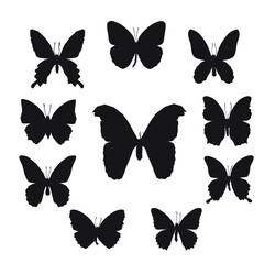 Vector illustration of butterfly cartoon on white background - 408728925