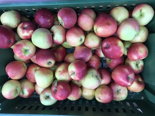 Yellow-red apples in market place
