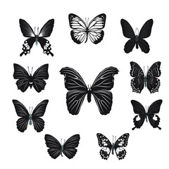 Vector illustration of butterfly cartoon on white background - 408728974