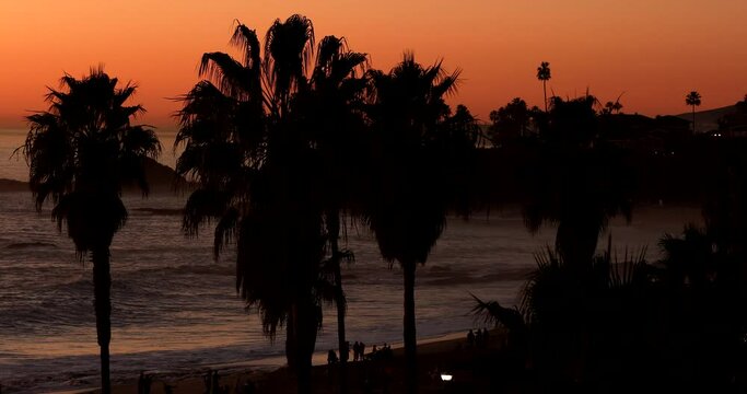 Sunset palm beach view of Laguna Beach, California, USA.