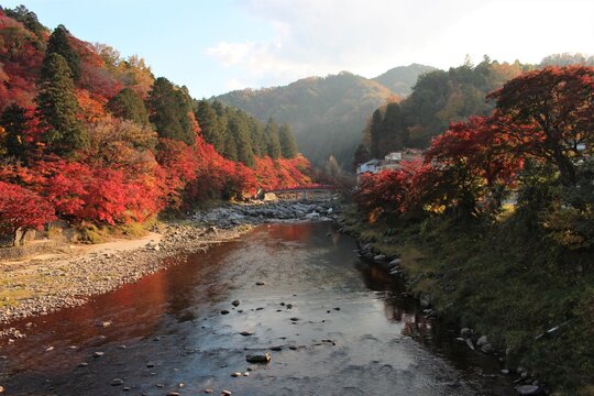 美しい紅葉を求めてお出かけ
