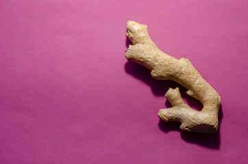 Alternative and folk medicine concept. Ginger root