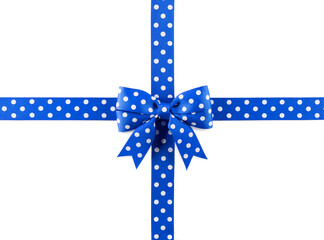 blue bow and ribbon with white polka dots isolated