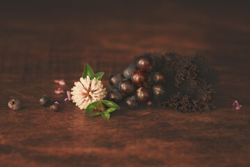 a still life of grapes arranged on a wooden table with clover leaf and flowers, calming and peaceful