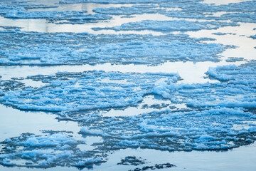 Melting ice flowing on water surface. Ice drift on the river. Global warming.