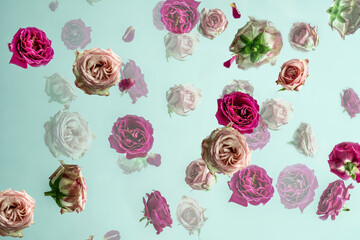 Fototapeta na wymiar beautiful happy valentines roses in close up and cheerful colors