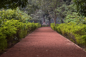 Fototapeta na wymiar beautiful view of path with trees background in a park