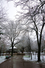 First snow in January 2021 