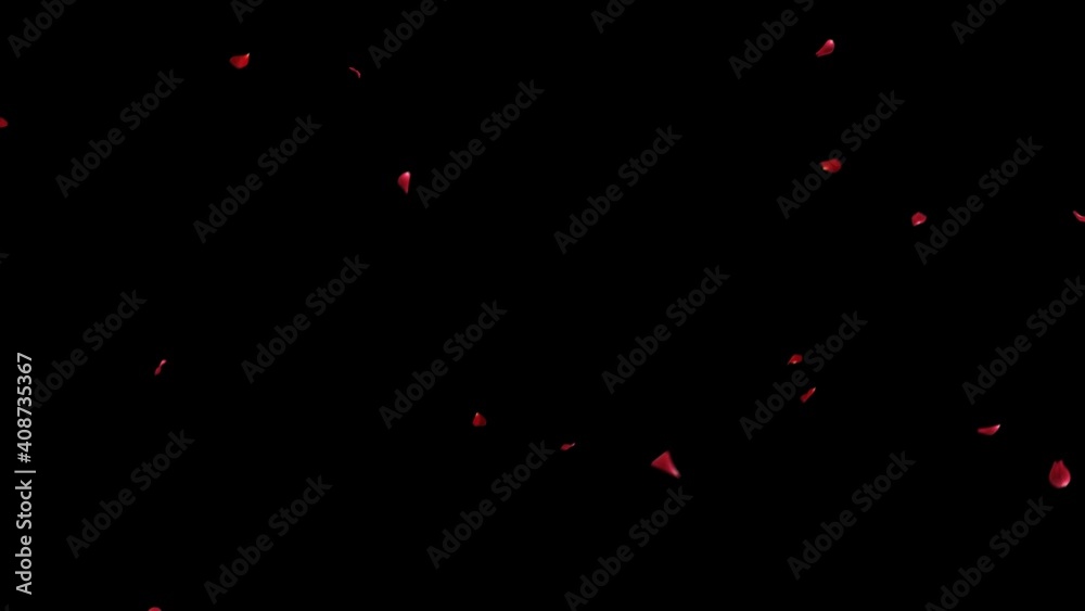 Canvas Prints red rose petal falling with alpha channel. 3d rendering. falling start to end place on footage or ba