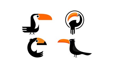 set toucan bird vector package © artidea