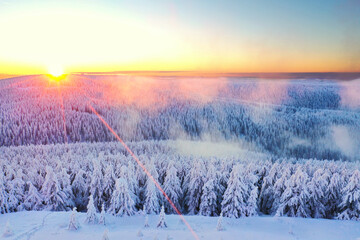 Sonne über dem Winterwald