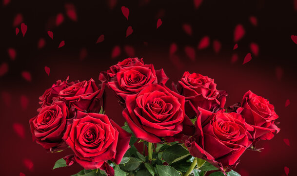 Bouquet of red roses against hearts background. Romantic Valentine's day concept.