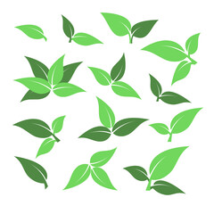 Set of green leaf icons. Leaves on white background. Ecology logo. Vector illustration.