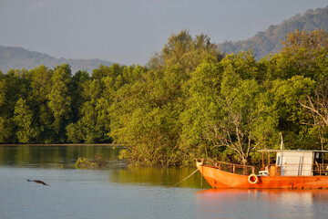Fototapeta na wymiar Orange boat on the lake 