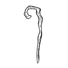 The wizards wooden staff. Bending stick witch magician halloween costume. Hand drawn black sketch outline tattoo engraving. Stock vector illustration isolated on white background.