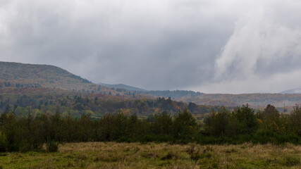 Autumn mountain landscape in the Ukrainian Carpathians - yellow and red trees combined with green needles. Stratus clouds on a foggy day.The mountains are completely overgrown with dense mixed forest.