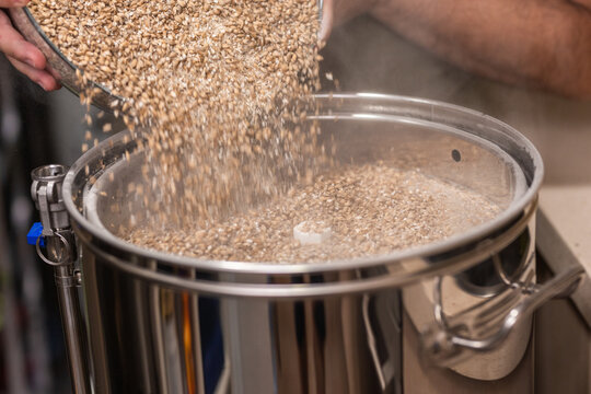 Man Pours Barley And Wheat Malt Into Kettle To Make Beer