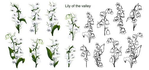 hand-drawn set with lily of the valley flowers, primroses. realistic bouquets isolated on a white background. Botanical elements for postcards, decor, cards,  paper. vintage style.