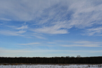 Winter scene with forest on horizon and white cirrus clouds on blue sky