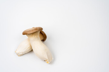 Japanese mushrooms on white background