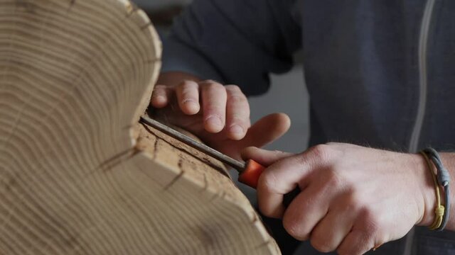removing bark from a wooden stump using a chisel. peeling acacia bark. woodworking concept. wooden texture