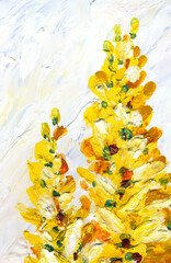 Oil painting. Hanging branch of acacia