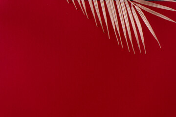 Shiny gold glossy leaf of palm tree isolated on red background. Flat lay, top view with copy space. Minimal fashion concept. 