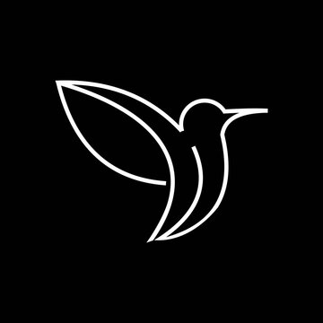  bird  logo design vector image 