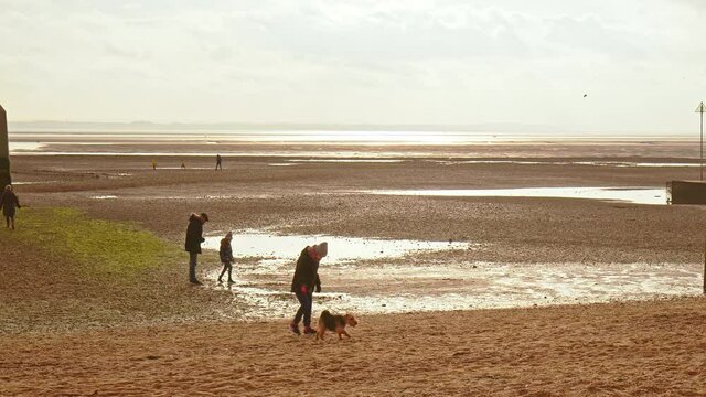 People relaxing, walking dogs on a dry beach during winter with a golden sunset. Concept of people taking care of mental health having a good time outdoors in Leigh Bell Wharf Beach, Essex, UK.