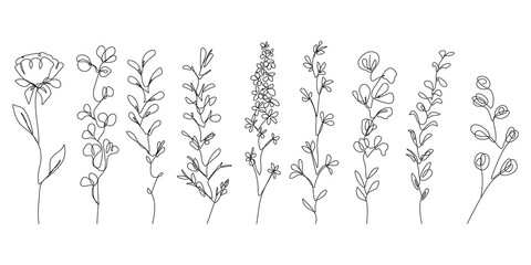 Continuous Line Drawing Set Of Plants Black Sketch of Flowers Isolated on White Background. Leaves and Flowers One Line Illustration. Vector EPS 10.