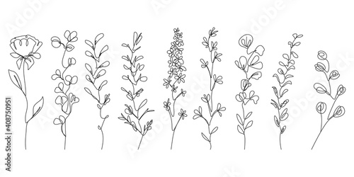 Continuous Line Drawing Set Of Plants Black Sketch Of Flowers Isolated On White Background Leaves And Flowers One Line Illustration Vector Eps 10 Wall Mural Natalya Dyachkova