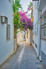 Fototapeta na wymiar Flower pots on wall of narrow streets of Bodrum with white houses in Greek style Bodrum.