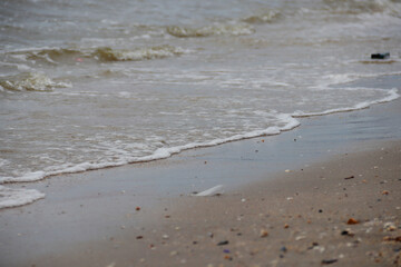 Plastic garbage, pollution, left on the beach Environmental protection (Environmental concept Natural treatment) there is space left for inserting text for different functions.