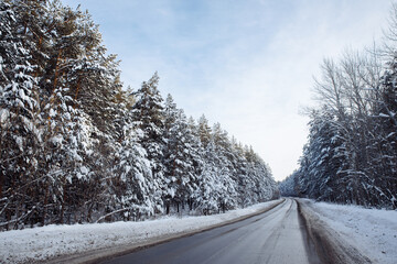 Obraz premium Winter road through a beautiful pine forest. The road is glistening with snow. The trees are covered with white snow. The sky is blue and cloudy. High quality photo