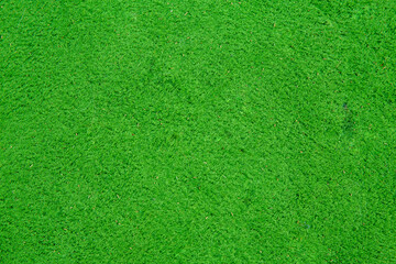 Plakat background - texture of bright green ground flooring in the playground, space for text, space for copy