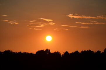 Sonnenuntergang über Waldgebiet