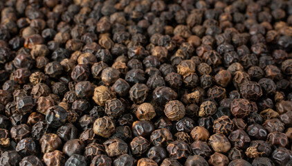 Black pepper grains as background close up.