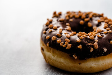 chocolate frosted doughnut
