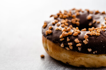 chocolate frosted doughnut