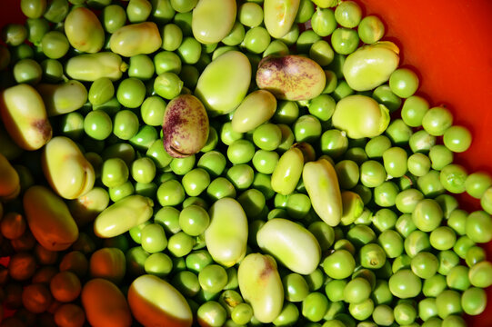 Background of ripe pea and bean seeds.